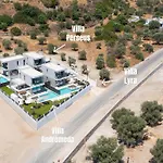 Rodos Stars Stellar
